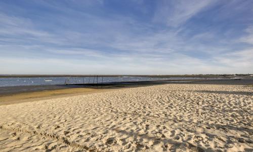 Appartement Arcachon, 2 pièces, 4 personnes - FR-1-474-19