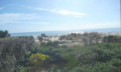 Appartement Marseillan-Plage, 2 pièces, 5 personnes - FR-1-387-105