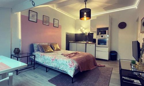 La garde Studio atypique Le Rocher, climatisation, belle décoration