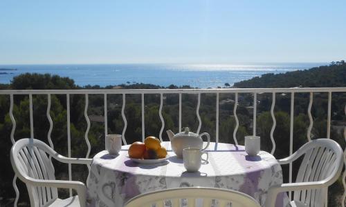 CAP ESTEREL, MAGNIFIQUE VUE MER PANORAMIQUE, TERRASSE, accès PISCINES, PARKING, dernier étage, classé 3 étoiles