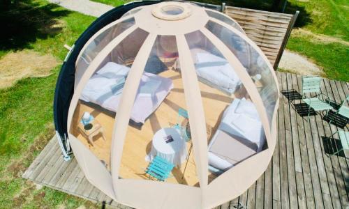 Les Insolites du Domaine de Suzel