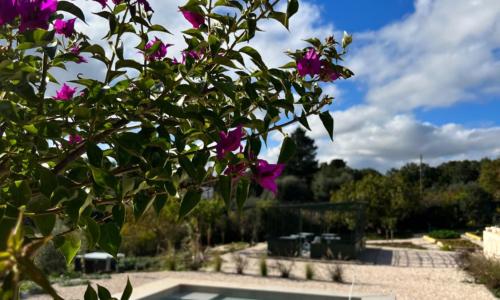 Villa Ada-Trulli Puglia