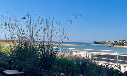 Splendide appartement les pieds dans l'eau