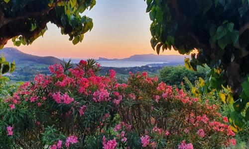 La Maison De La Cadière
