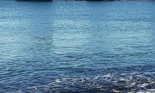 T2 PLAGE DE LA CONQUE