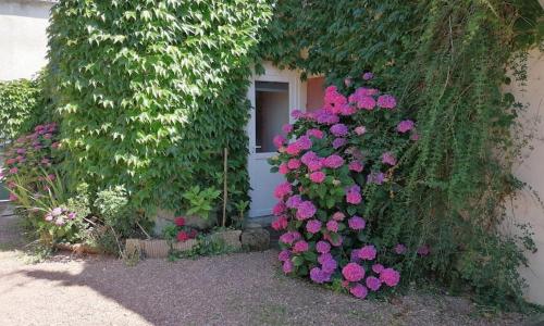 Chez Rolando Studio cosy