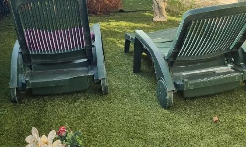 Chambre La Palmeraie village naturiste