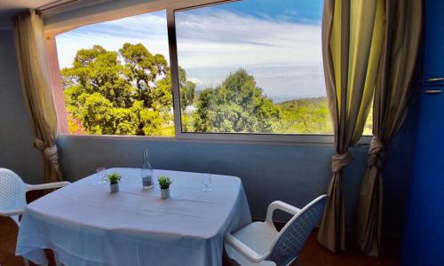 APPARTEMENT SCOPA - Plage à pied - vue mer