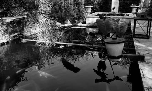 Maison sainte Geneviève