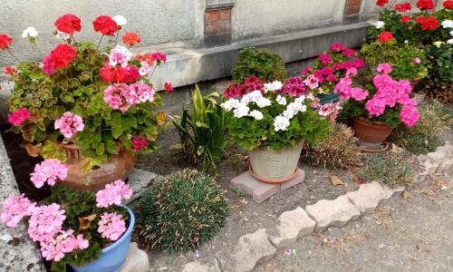 appartement du pont de la seine