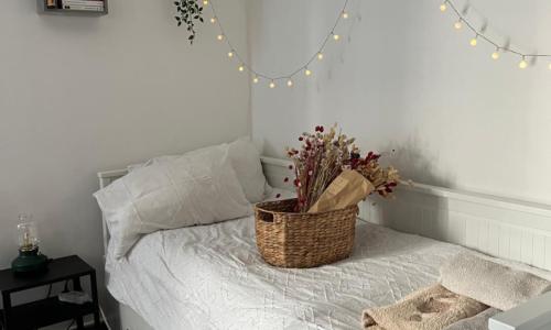 Magnifique studio cosy en plein coeur de Paris!
