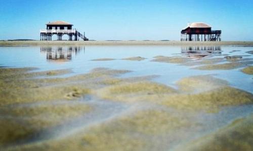 Maison jardin 3 ch centre ville Bassin Arcachon