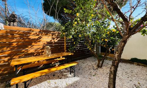 Studio - Le citronnier près des plages