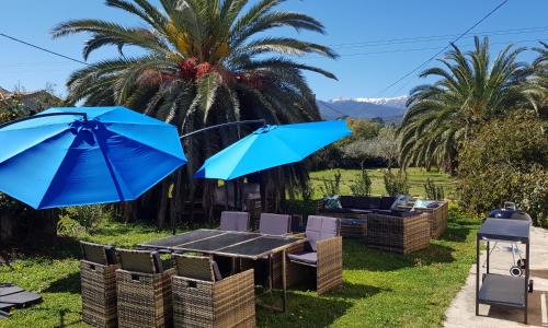 PALMA Piscine chauffée Grand jardin avec piscine à 1 km de la mer