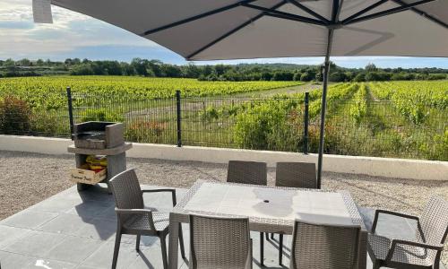 Maison aux bords de vignes