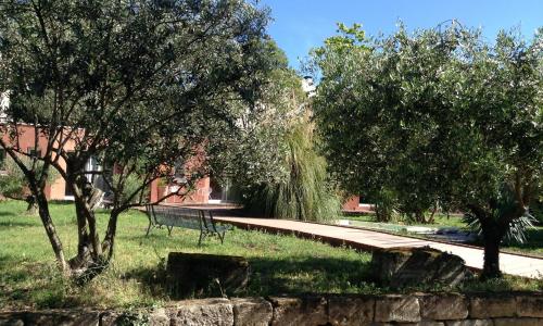 De la suite dans les oliviers