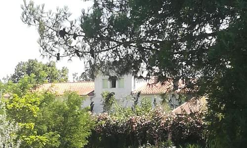 Mas des Marbres Sauvages dans un parc immense à 10mn de la plage