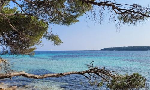 Les Grenadines du samedi au samedi