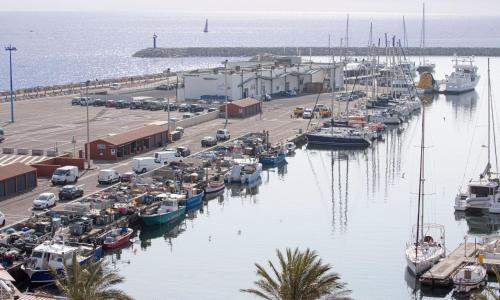 Apartment Ibis by Interhome