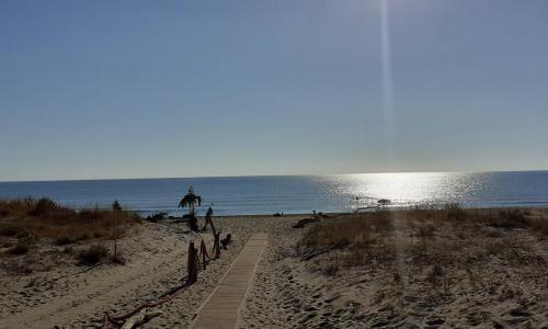 Lighthouse Gabbiano Azzurro