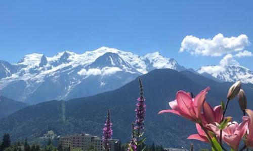 Appartement au pays du Mont-Blanc