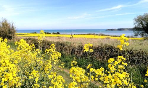 le Ti'Nid - Gîte de charme - Vue Mer