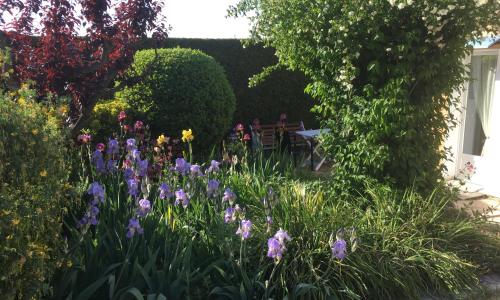 Le Nid au Pied du Mont Ventoux