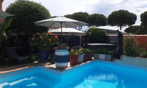 Hébergement Chambre d'hôtes Grau du Roi Mas des Marines Piscine Adult only