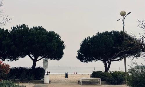 Appartement sur le Port