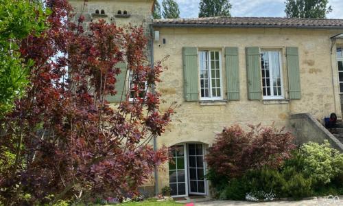 Moulin de la Bourgade : L’Olivier