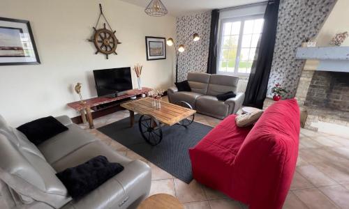 Grenouilles et coquillages