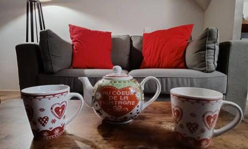 Appartement duplex classé 4 étoiles plein centre village