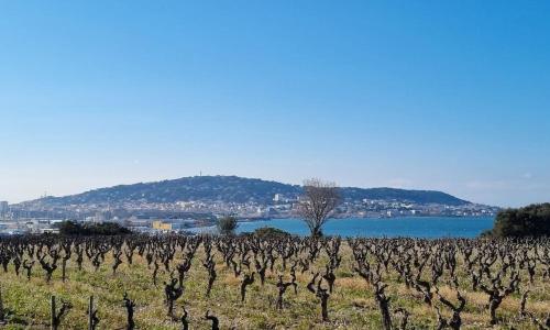 Maison de campagne vue Étang de Thau !