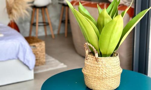 Appartement Agosta Plage