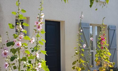 Maison entre vieux port et Minimes