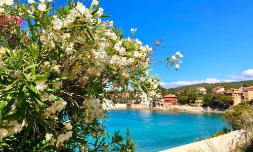 Superbe appartement cosy à 300 m de la plage