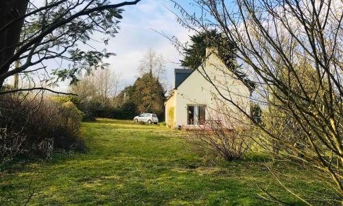 L’Eucalyptus Blanc, claire, paisible,fonctionnelle