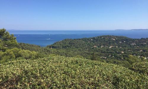 Maison Bormes-les-Mimosas, 3 pièces, 5 personnes - FR-1-610-70