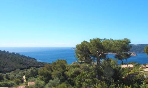 La roche aux mouettes Ile du Levant