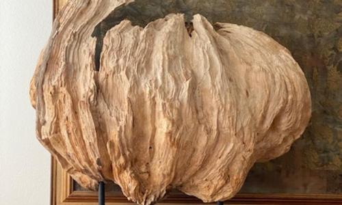 Appartamenti di Andrea