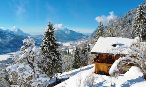 Chalet plein sud 1000