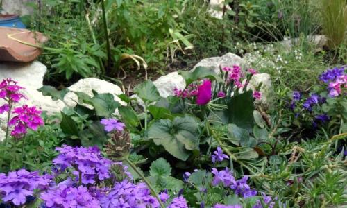LA GARDE ADHEMAR, L'escalier Médiéval