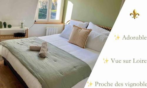 Rochecorbon - Bouchon de Loire