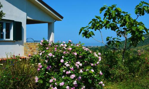 Casale Dionisia, Santa Maria di Castellabate, Appartamento Iris