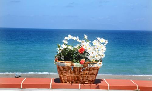 Vacanze al Mare Patrizia's Sweet Home