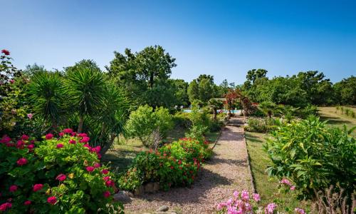 Villa Gelormini - GHI310 by Interhome