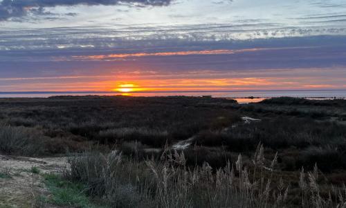 Mobil home climatisé au calme et proche des activités LEGE CAP FERRET