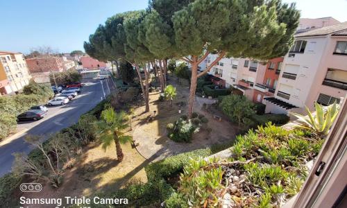 Coquet Studio Centre Port Cap D'Agde