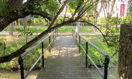 La Passerelle de Crécy