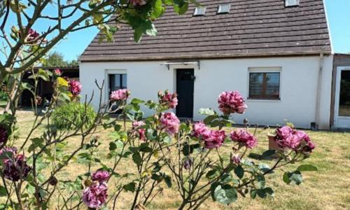 Gite maison de campagne